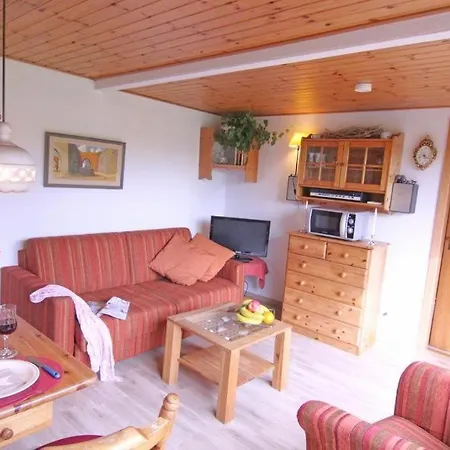 Möwe Westerland